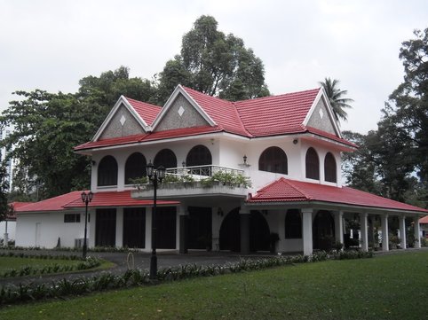 Picture